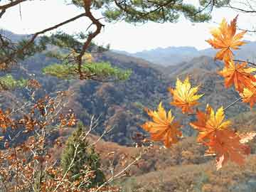 多地出台营地体育项目安全与师资标准